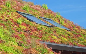 Norbridge living roof systems